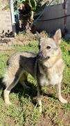LOBITA Image 1